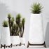 HQ Plants Yucca Elephantipes Valida Vase Set01 - Thumbnail 2