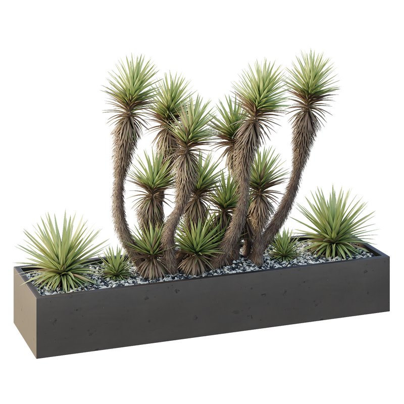 HQ Tree and bush garden box outdoor VOL 23 - Image 2