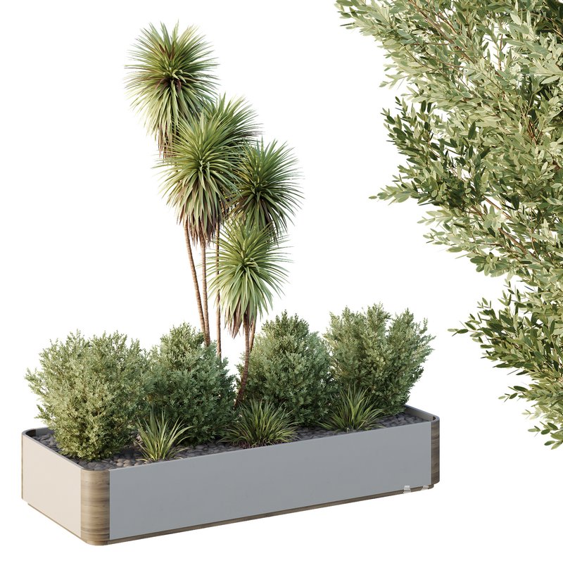 HQ Tree and bush garden box outdoor VOL 24 - Image 2