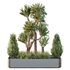 HQ Tree and bush garden box outdoor VOL 25 - Thumbnail 1