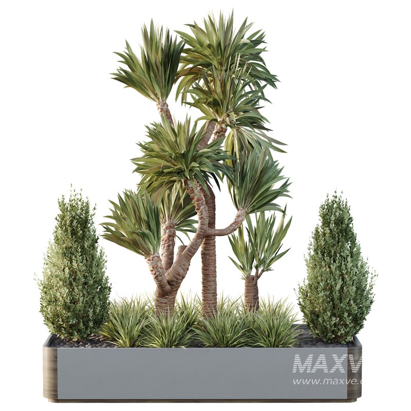 HQ Tree and bush garden box outdoor VOL 25 - Image 1