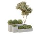 HQ Tree and bush garden box outdoor VOL 26 - Thumbnail 2