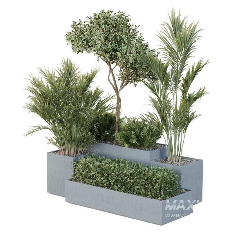 HQ Tree and bush garden box outdoor VOL 28 - Image 2