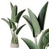 HQ Plants Bird Of ParadiseBird Vase Set02 - Thumbnail 1