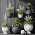 HQ Plants Yucca Elephantipes Rupicola Vase Set01 - Thumbnail 3