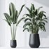 HQ Plants Bird Of ParadiseBird Vase Set04 - Thumbnail 2