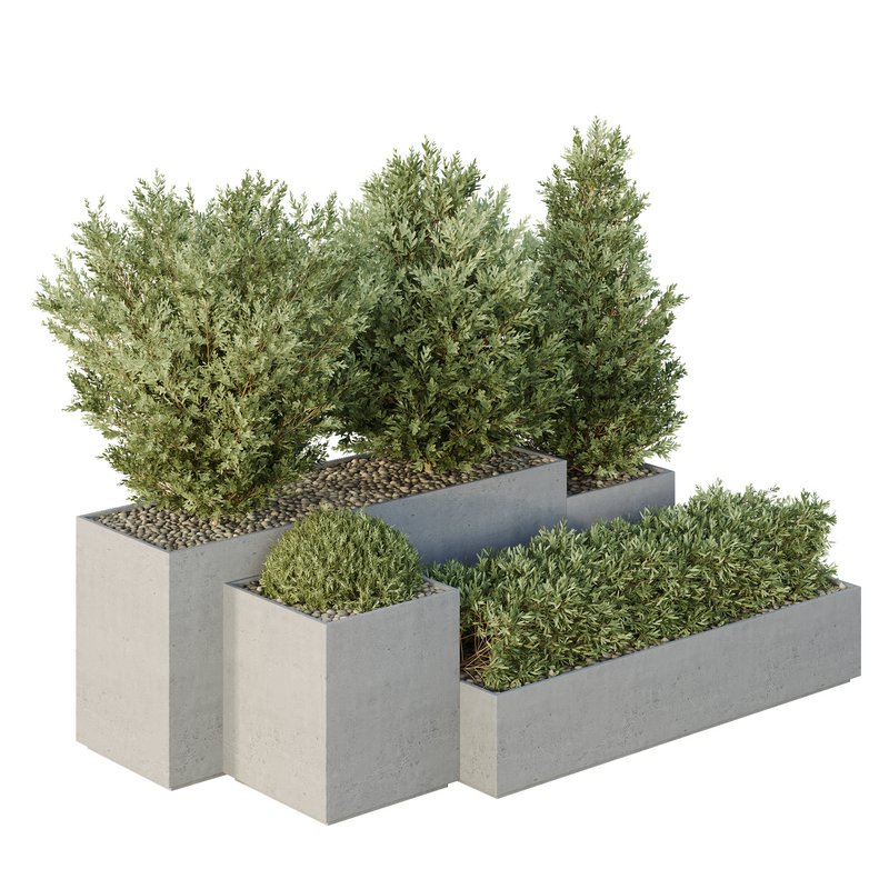 HQ Tree and bush garden box outdoor VOL 27 - Image 2