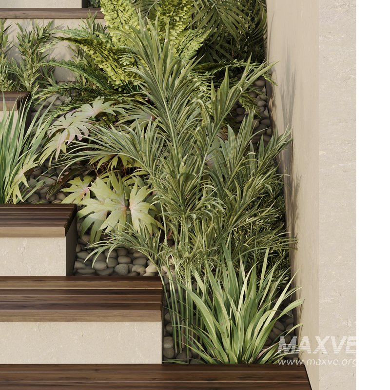 HQ Tree and bush garden box outdoor VOL 30 - Image 3