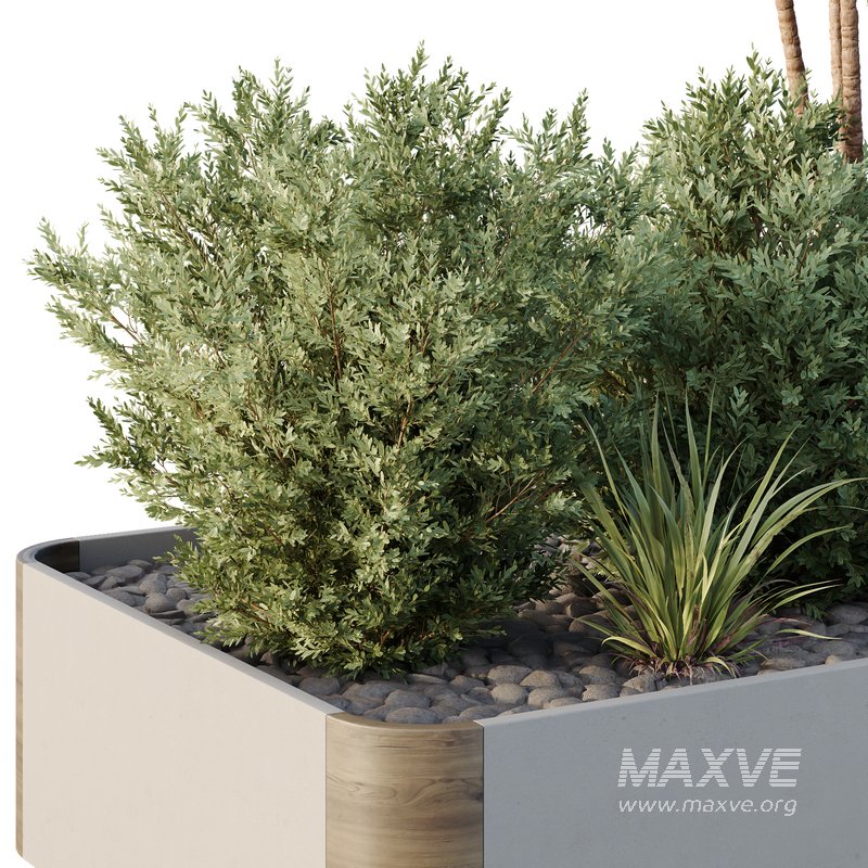 HQ Tree and bush garden box outdoor VOL 24 - Image 4