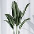 HQ Plants Bird Of ParadiseBird Vase Set04 - Thumbnail 3