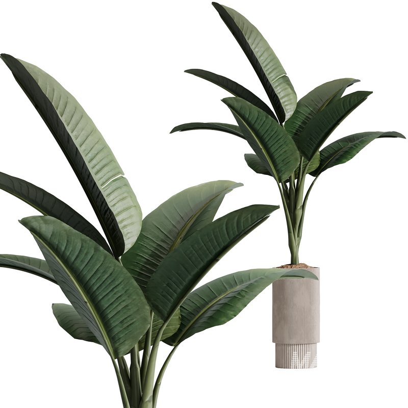 HQ Plants Bird Of ParadiseBird Vase Set02 - Image 3