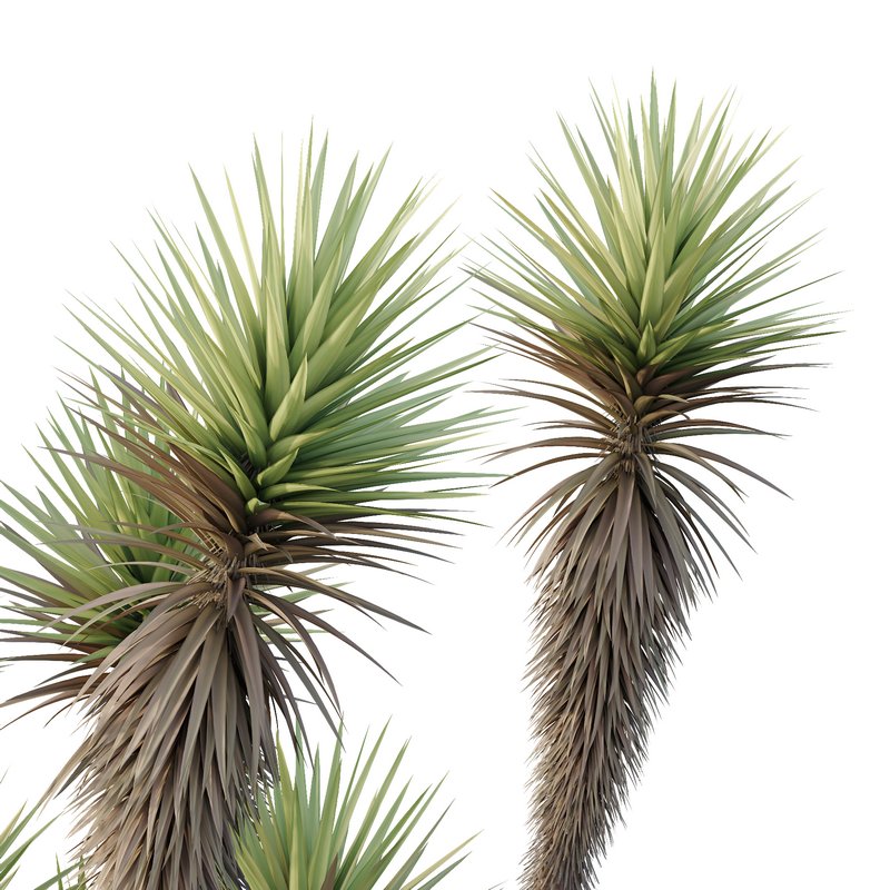 HQ Tree and bush garden box outdoor VOL 23 - Image 3