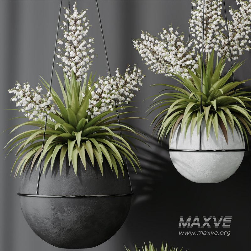 HQ Plants Yucca Elephantipes Rupicola Vase Set01 - Image 2