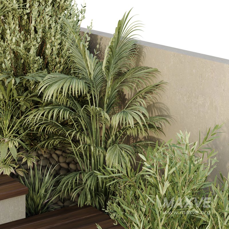 HQ Tree and bush garden box outdoor VOL 31 - Image 3