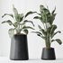 HQ Plants Bird Of ParadiseBird Vase Set05 - Thumbnail 1