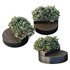 HQ Urban environment set of green plant benches 07 - Thumbnail 2
