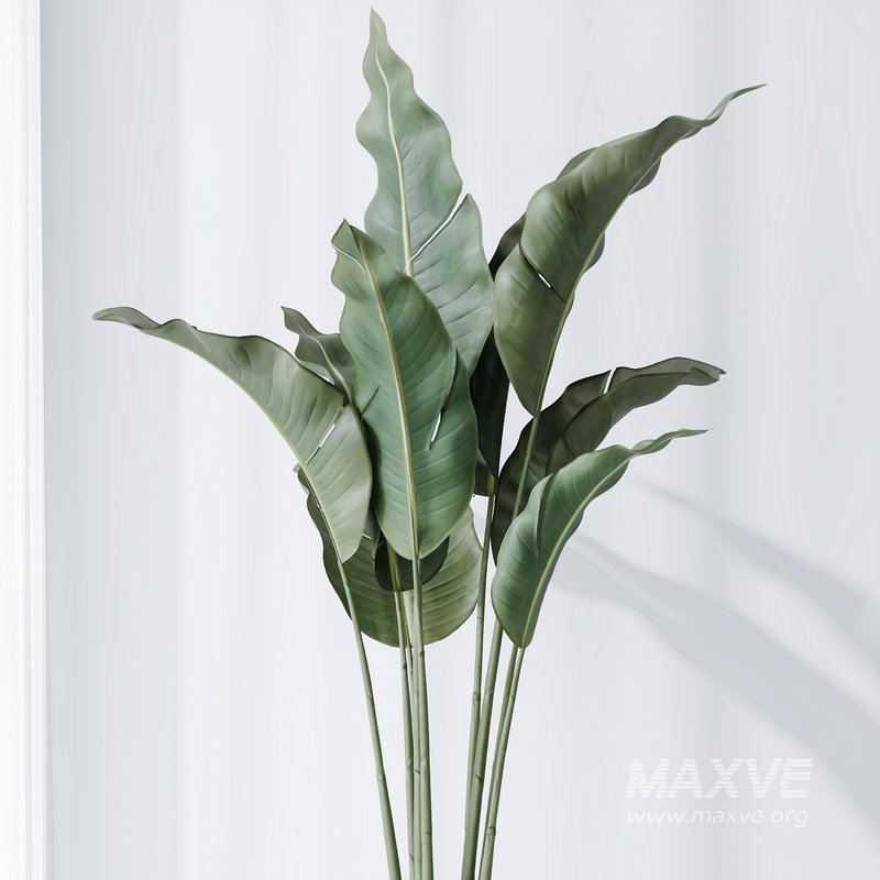 HQ Plants Bird Of ParadiseBird Vase Set03 - Image 3