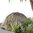 HQ Urban environment set of green plant benches 08 - Thumbnail 3