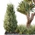 HQ Tree and bush garden box outdoor VOL 25 - Thumbnail 2