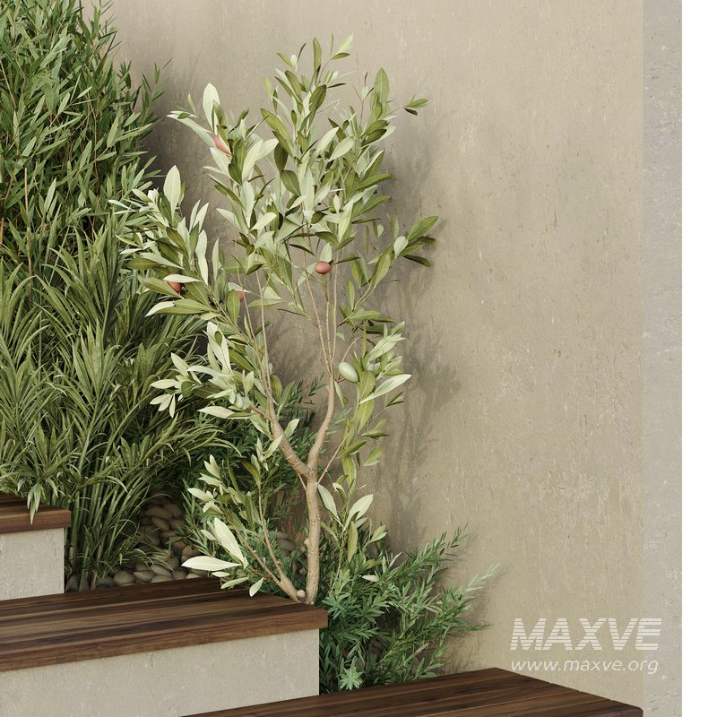 HQ Tree and bush garden box outdoor VOL 31 - Image 4