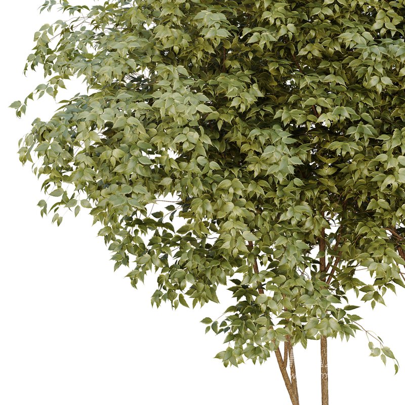 HQ Urban environment set of green plant benches 09 - Image 4