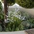 HQ Urban environment set of green plant benches 10 - Thumbnail 4