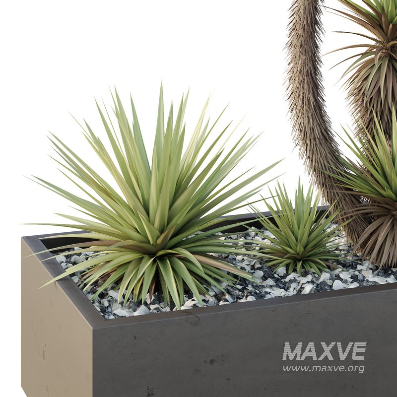 HQ Tree and bush garden box outdoor VOL 23 - Image 4