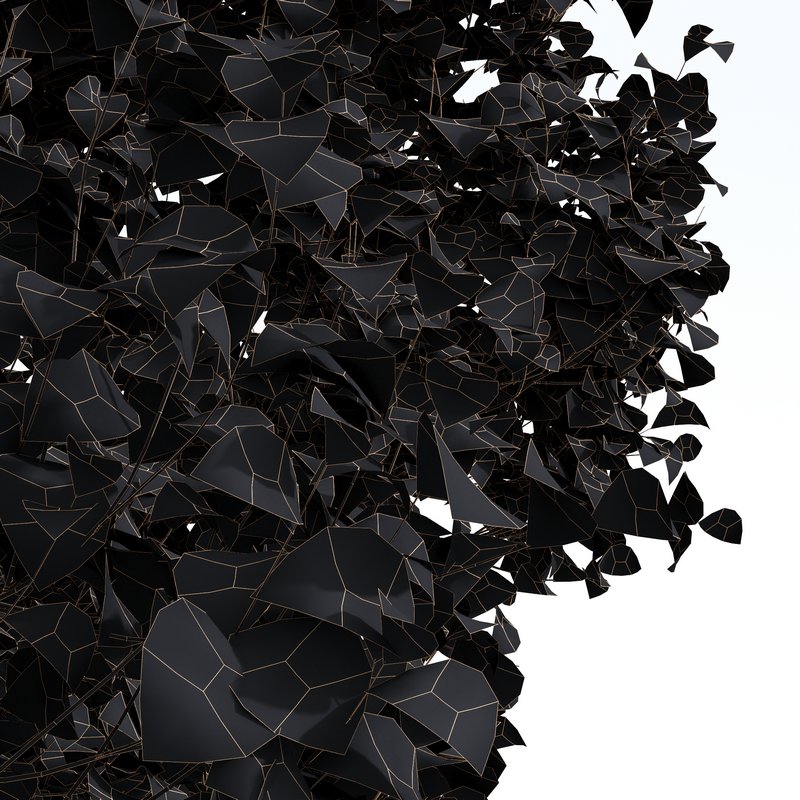 Acer Saccharinum Fall - Image 4