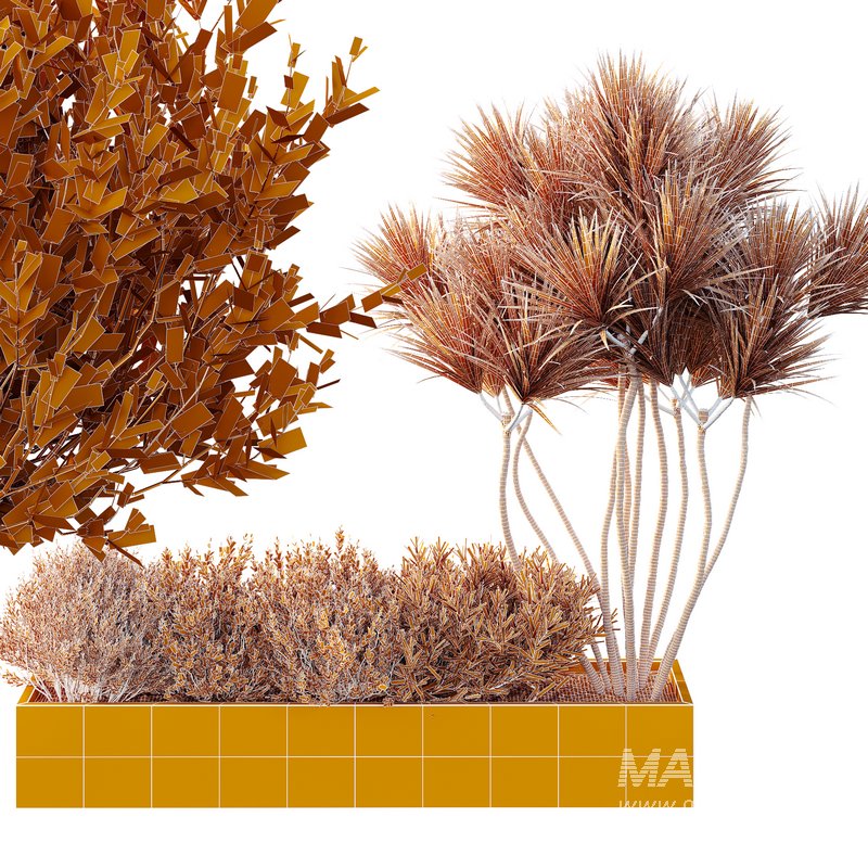 HQ Tree and bush garden box outdoor VOL 22 - Image 3