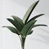 HQ Plants Bird Of ParadiseBird Vase Set02 - Thumbnail 5