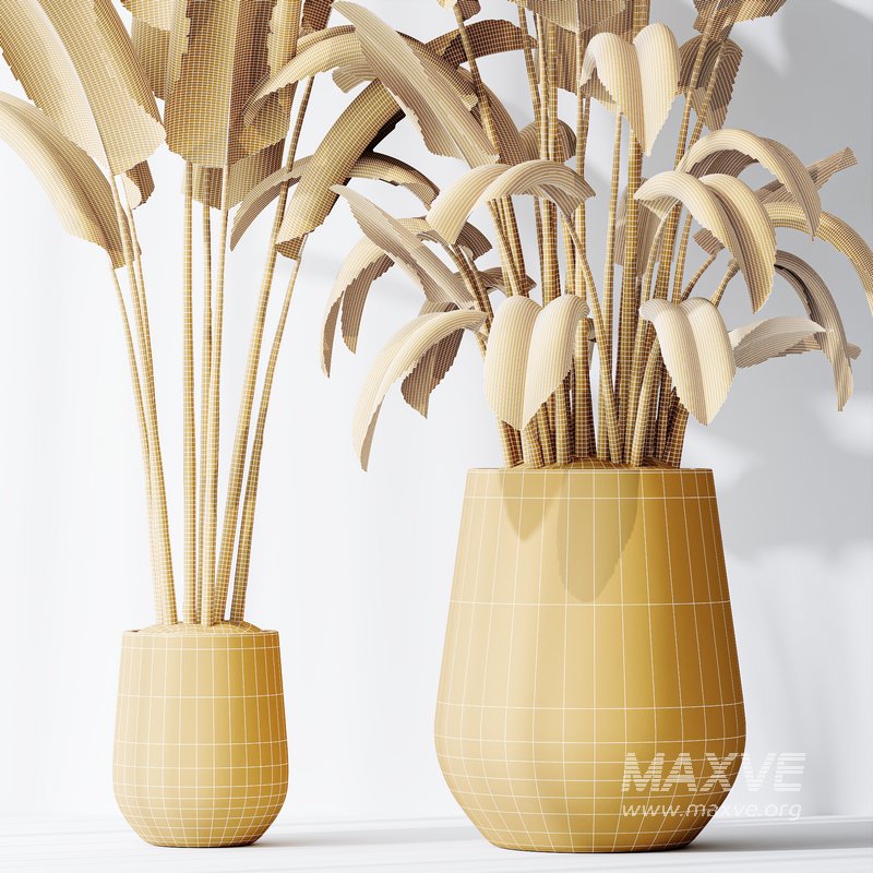 HQ Plants Bird Of ParadiseBird Vase Set04 - Image 5