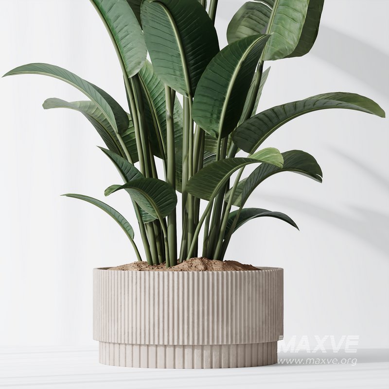 HQ Plants Bird Of ParadiseBird Vase Set01 - Image 5