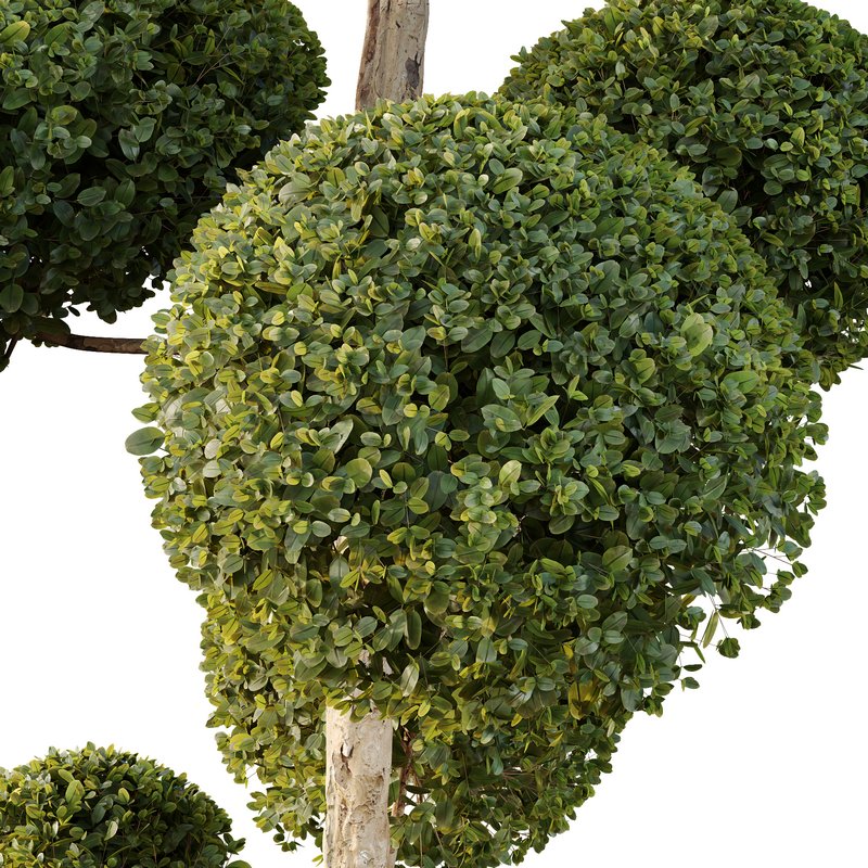 HQ Urban environment set of green plant benches 10 - Image 5