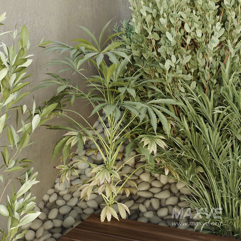 HQ Tree and bush garden box outdoor VOL 31 - Image 5