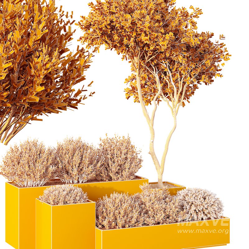 HQ Tree and bush garden box outdoor VOL 26 - Image 6