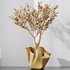 Mission Olive Tree Indoor Vase 01 - Thumbnail 6