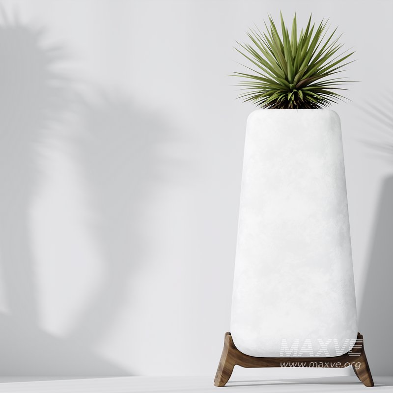 HQ Plants Yucca Elephantipes Valida Vase Set01 - Image 5