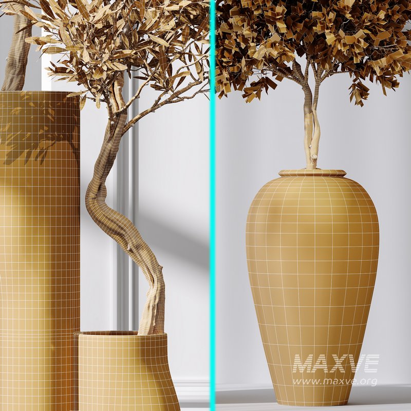 Mission Olive Tree Indoor Vase 02 - Image 6