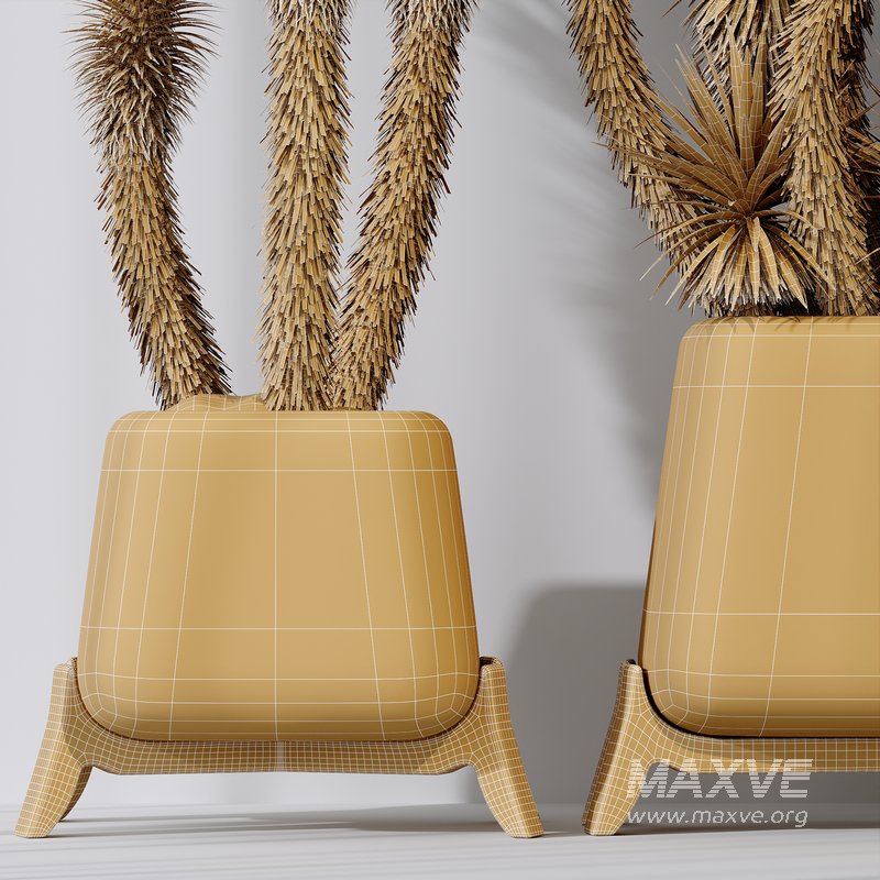 HQ Plants Yucca Elephantipes Valida Vase Set01 - Image 6