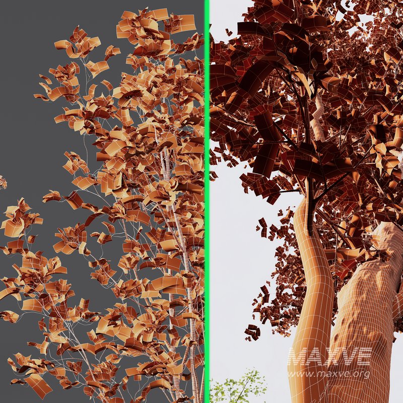 spring trees 03 - Image 6