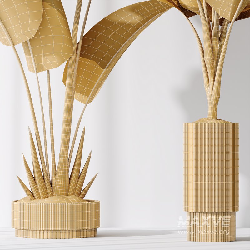 HQ Plants Bird Of ParadiseBird Vase Set02 - Image 7