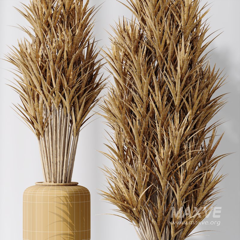 Areca Majesty and Yucca Elephantipes Vase 10 - Image 7