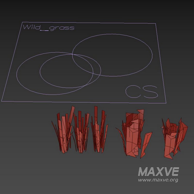 Wild Grass - Image 5