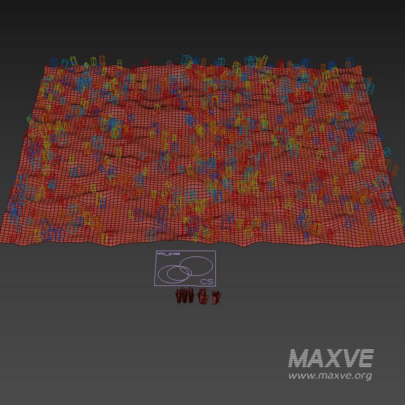 Wild Grass - Image 4