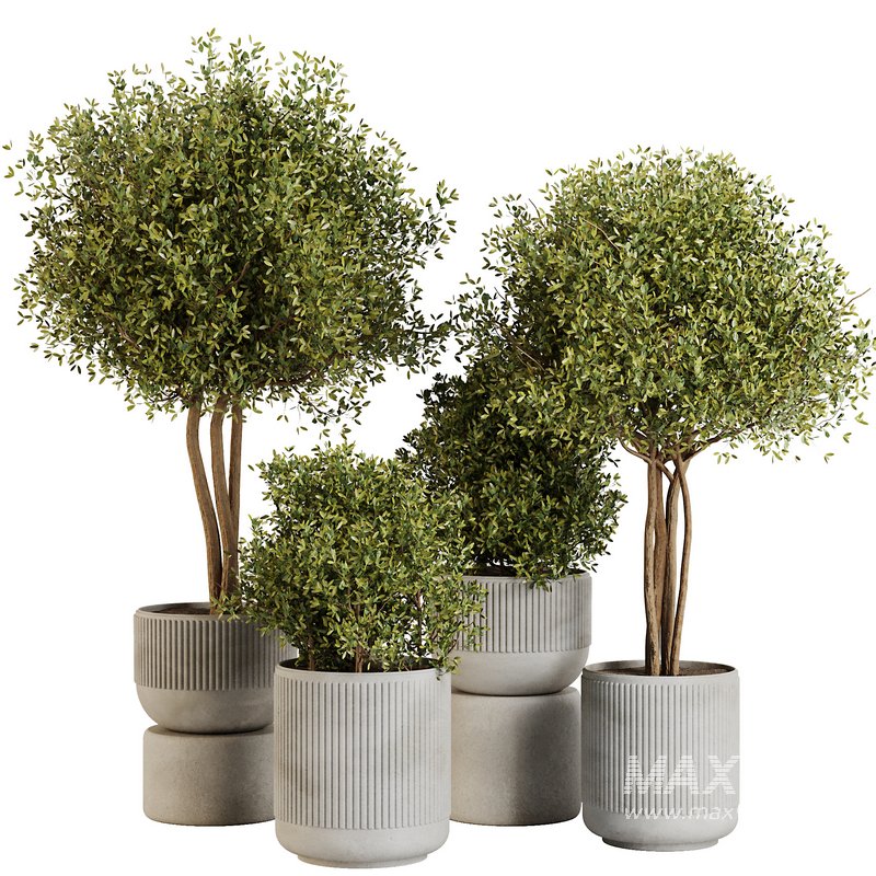 Indoor Plant Set43 - Image 1