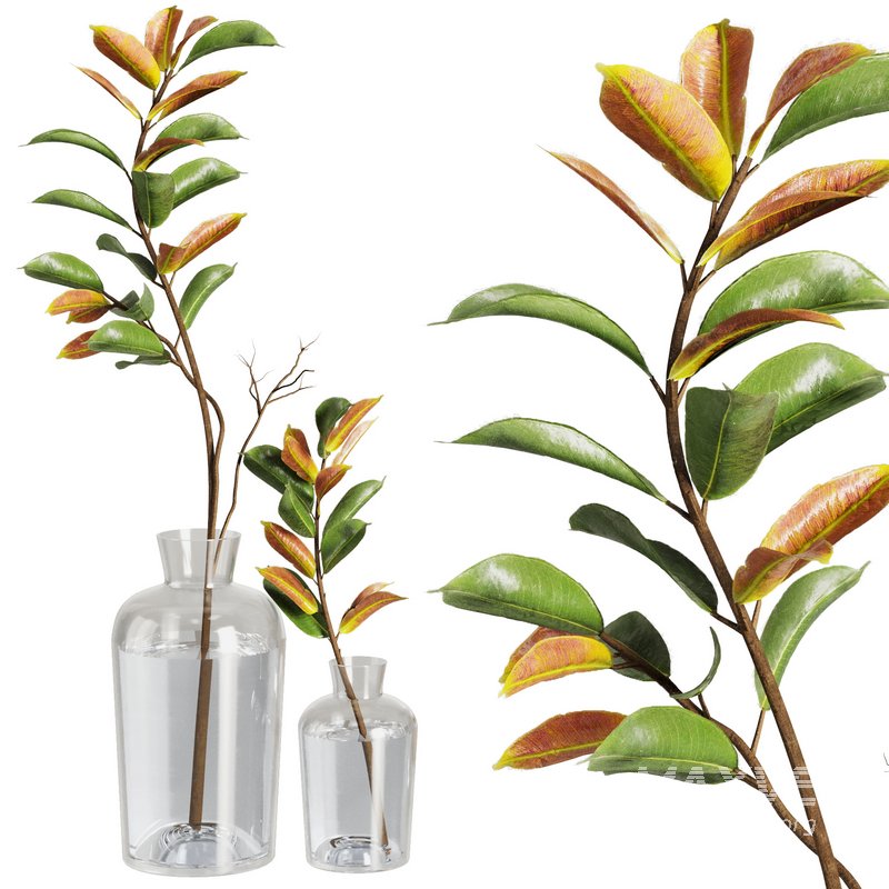 Dry Branches Bouquet20 - Image 1