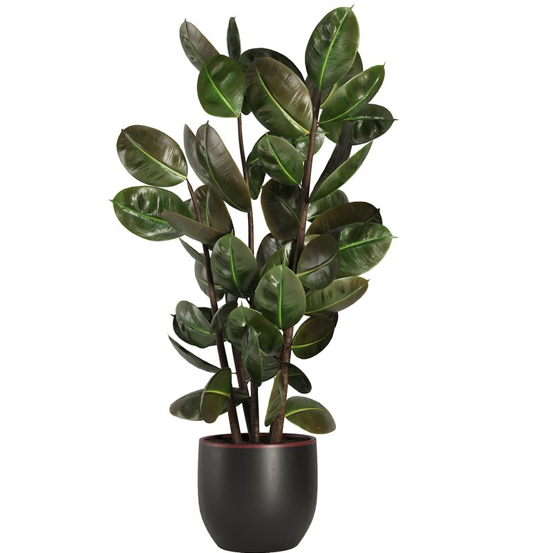 Indoor Plant Set44 - Image 2