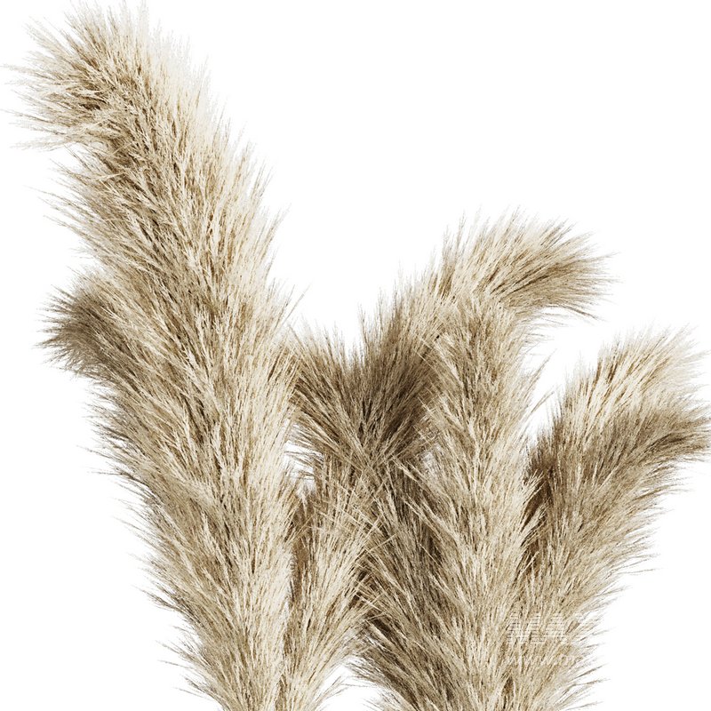 Dry Branches Bouquet22 - Image 3