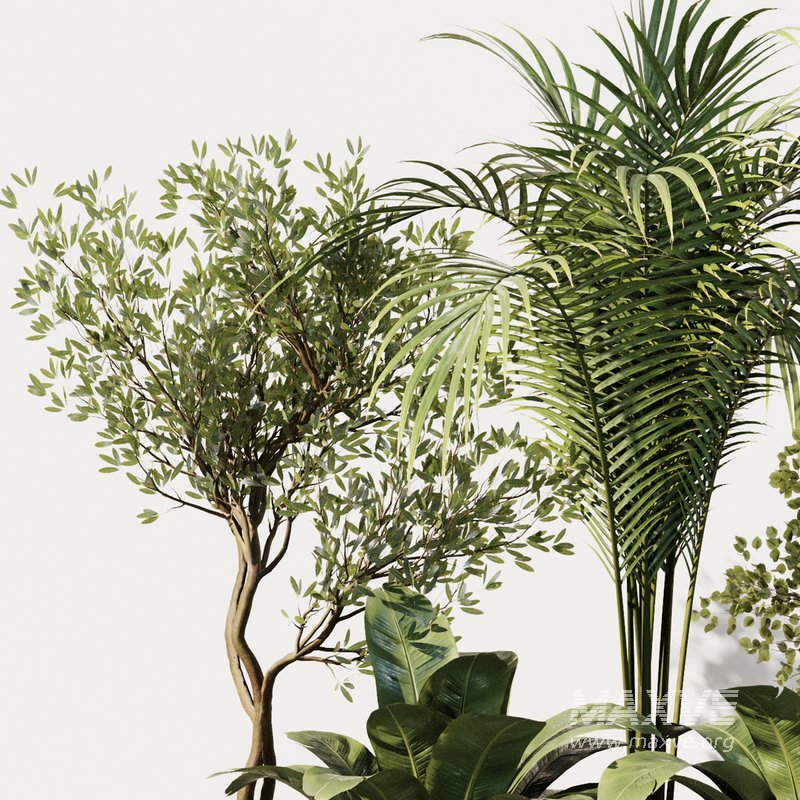 Indoor Plant Set40 - Image 2