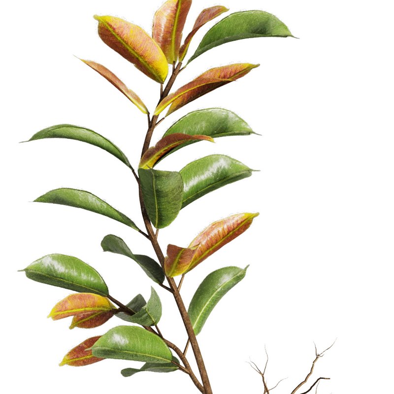 Dry Branches Bouquet20 - Image 3